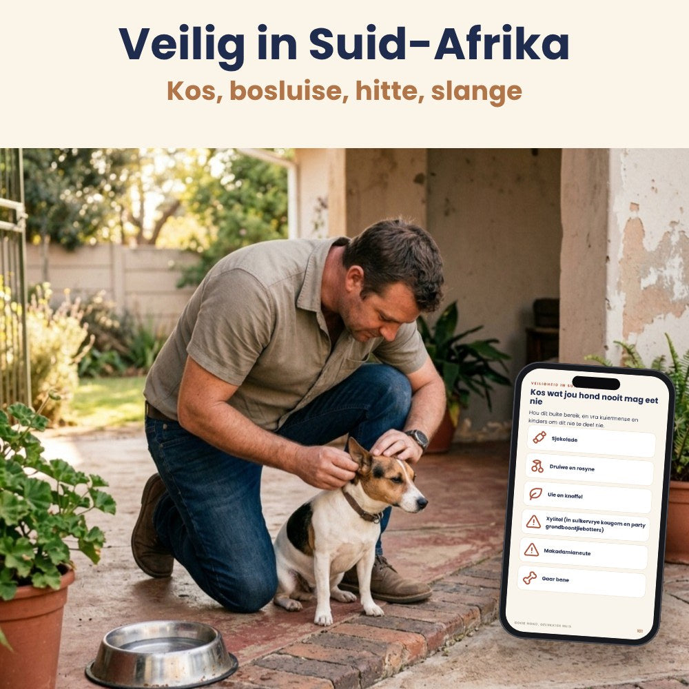 Die veiligheidsbladsye op ’n tablet