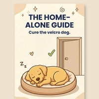 The Home-Alone Guide