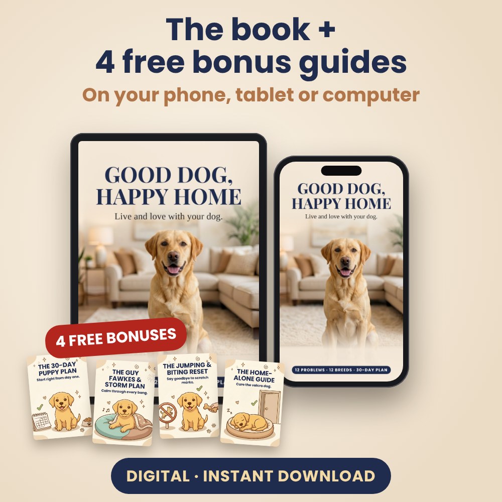 Enlarged product image of the digital edition