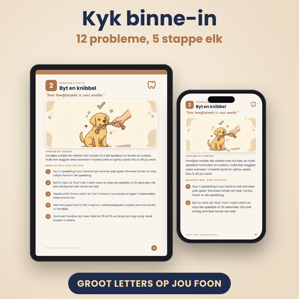 Twee bladsye uit die boek
