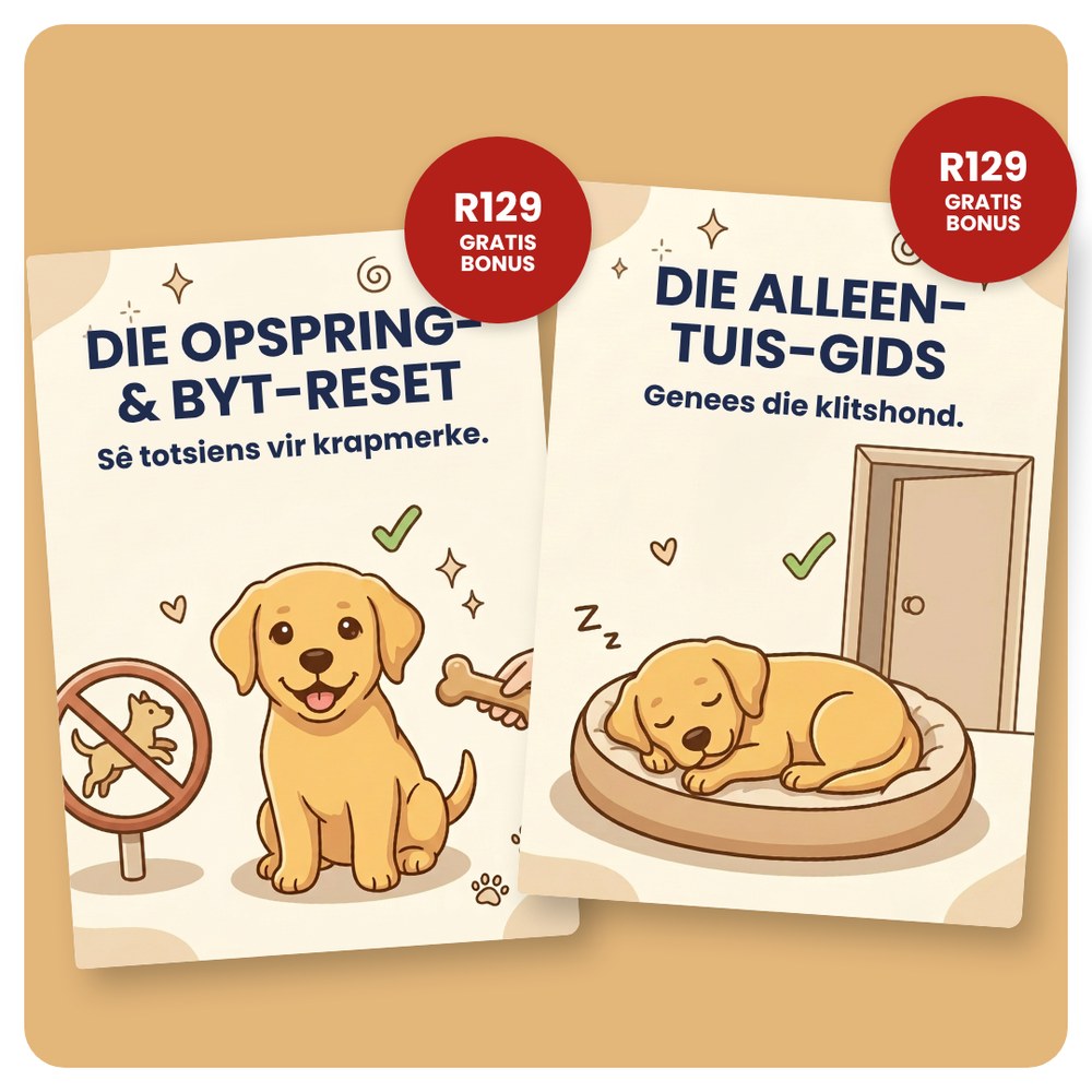 Goeie Hond, Gelukkige Huis