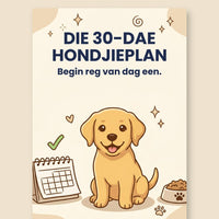Die 30-Dae Hondjieplan