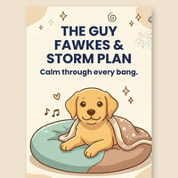 The Guy Fawkes & Storm Plan