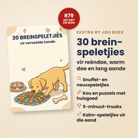 30 Breinspeletjies vir Verveelde Honde