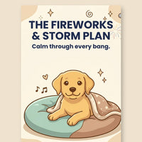 The Fireworks & Storm Plan